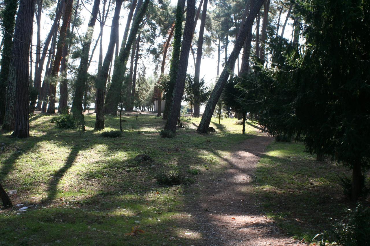 Sirius Guest house Pizunda